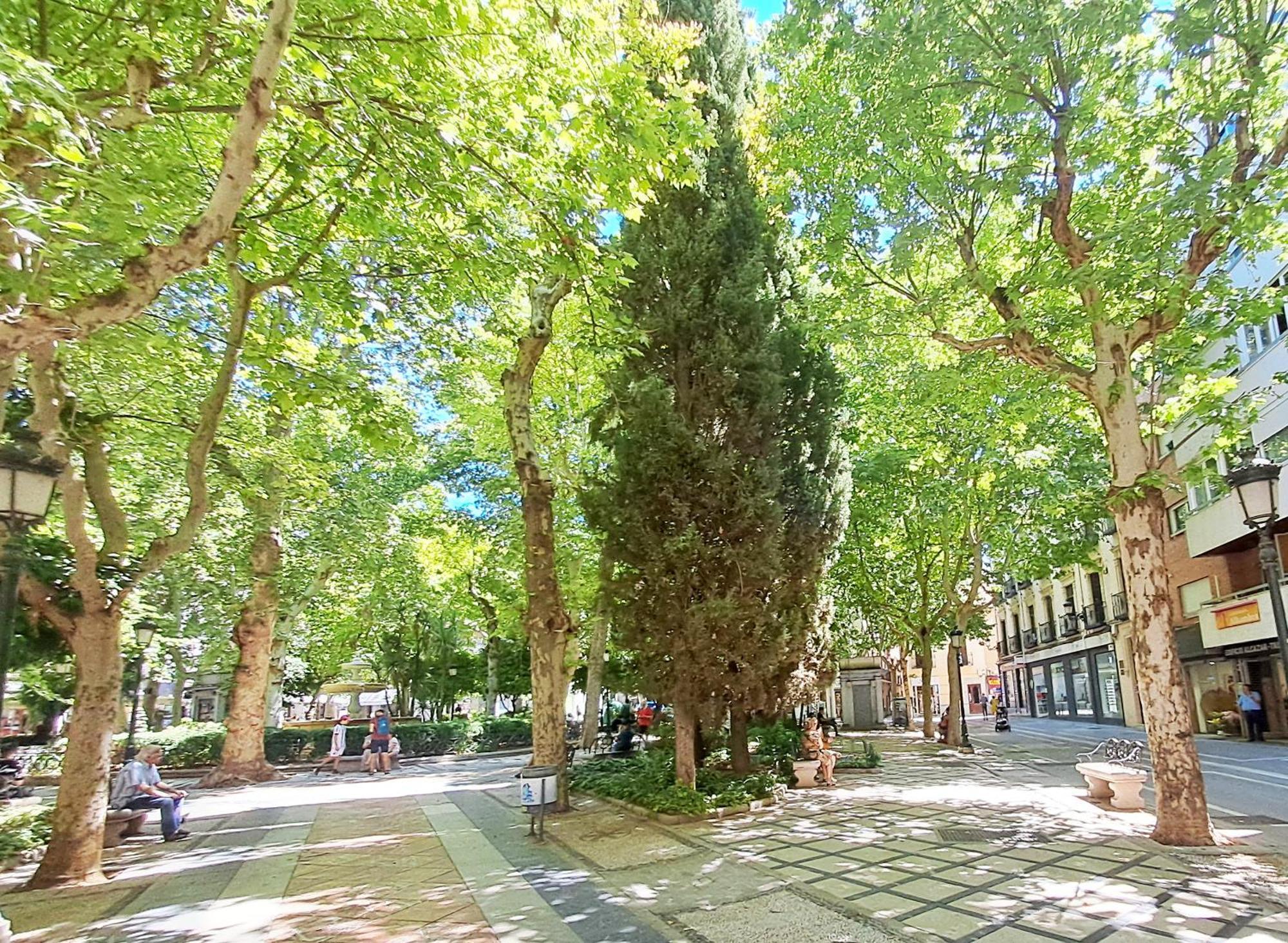 Apartasuite Centro Historico Atico Tranquilo Y Luminoso En El Corazon De Granada Eksteriør bilde
