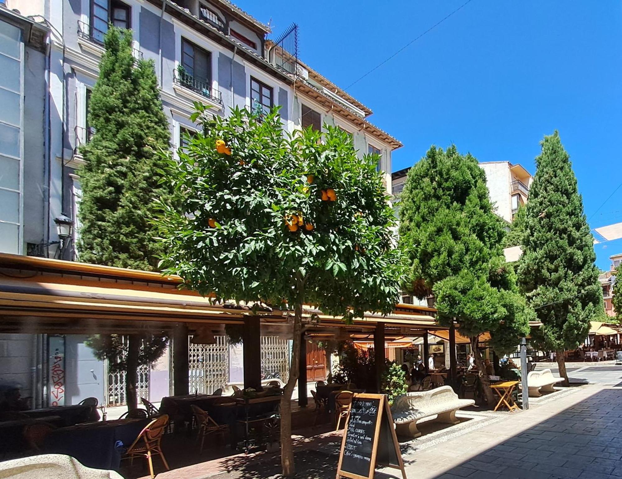 Apartasuite Centro Historico Atico Tranquilo Y Luminoso En El Corazon De Granada Eksteriør bilde